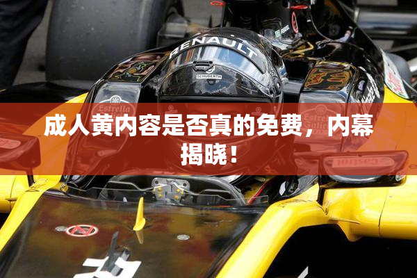 成人黄内容是否真的免费，内幕揭晓！