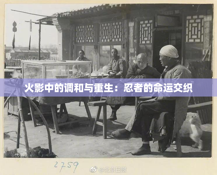火影中的调和与重生：忍者的命运交织