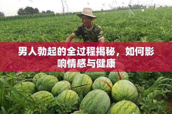 男人勃起的全过程揭秘，如何影响情感与健康