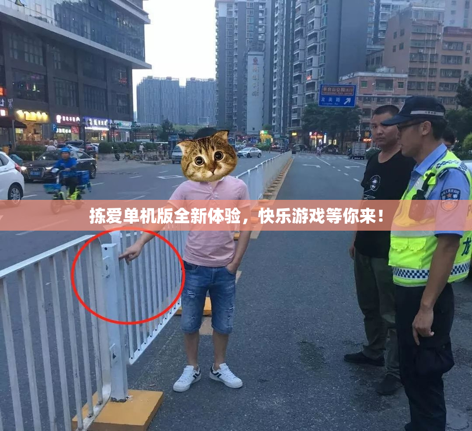 拣爱单机版全新体验，快乐游戏等你来！