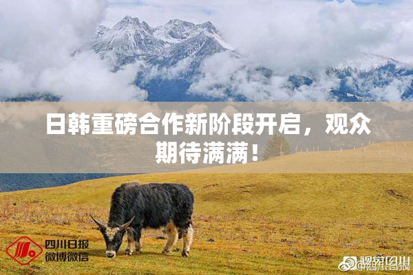 日韩重磅合作新阶段开启，观众期待满满！