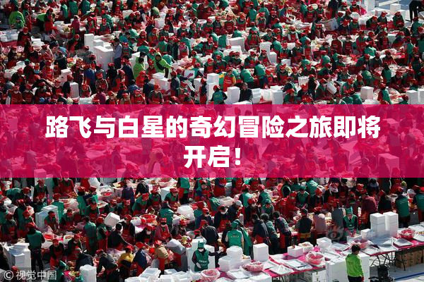 路飞与白星的奇幻冒险之旅即将开启！