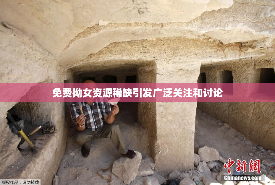 免费拗女资源稀缺引发广泛关注和讨论