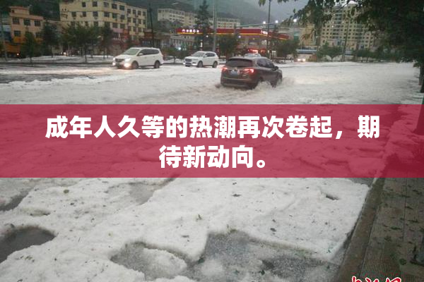 成年人久等的热潮再次卷起，期待新动向。
