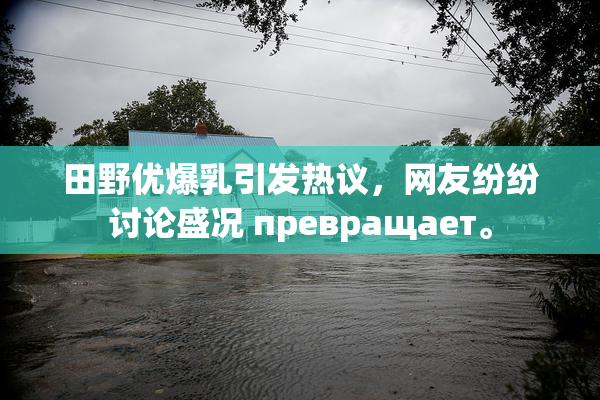 田野优爆乳引发热议，网友纷纷讨论盛况 превращает。