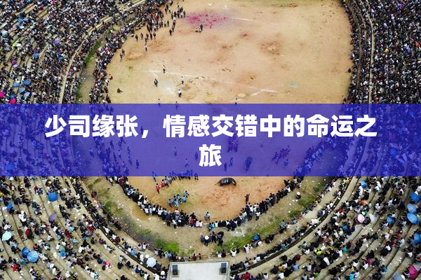 少司缘张，情感交错中的命运之旅