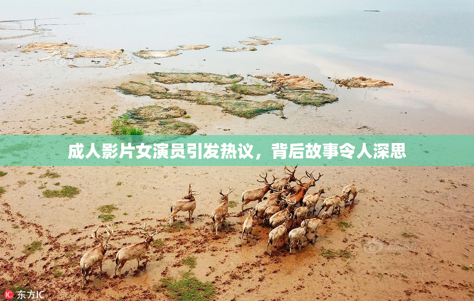 成人影片女演员引发热议，背后故事令人深思