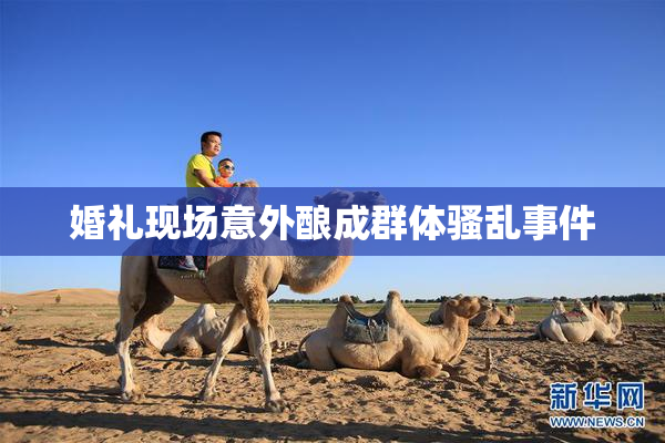 婚礼现场意外酿成群体骚乱事件