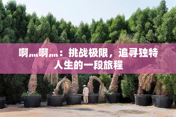 啊灬啊灬：挑战极限，追寻独特人生的一段旅程