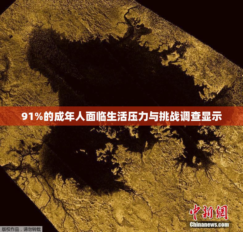 91%的成年人面临生活压力与挑战调查显示