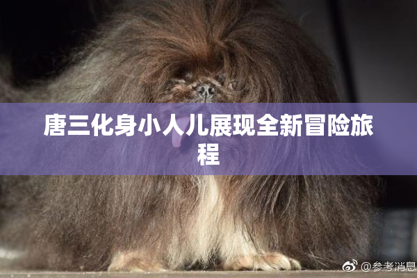 唐三化身小人儿展现全新冒险旅程