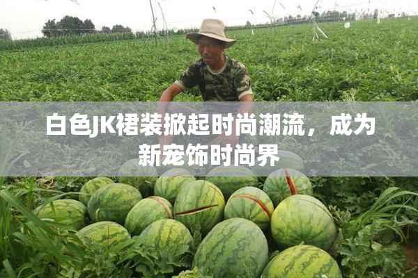 白色JK裙装掀起时尚潮流，成为新宠饰时尚界