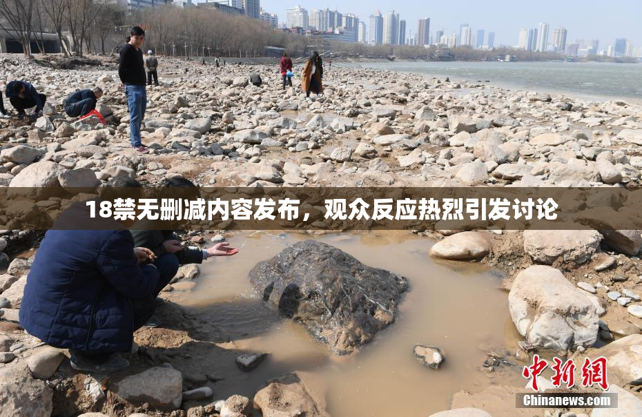 18禁无删减内容发布，观众反应热烈引发讨论