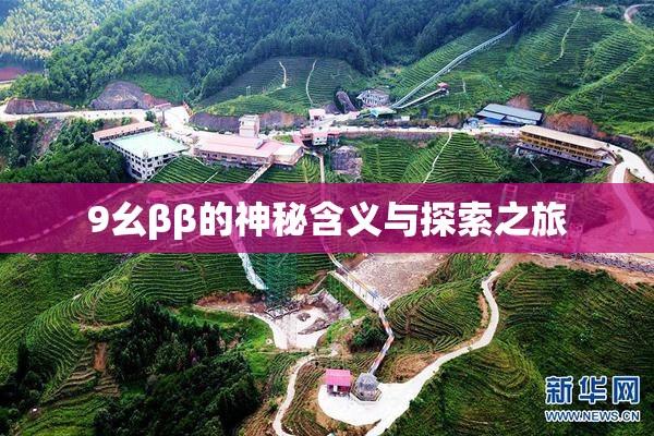 9幺ββ的神秘含义与探索之旅