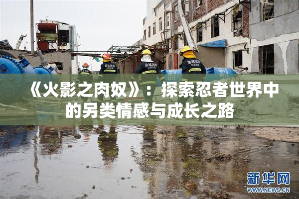 《火影之肉奴》：探索忍者世界中的另类情感与成长之路
