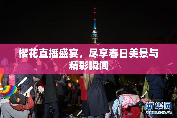 樱花直播盛宴，尽享春日美景与精彩瞬间