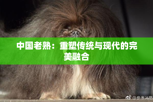 中国老熟：重塑传统与现代的完美融合