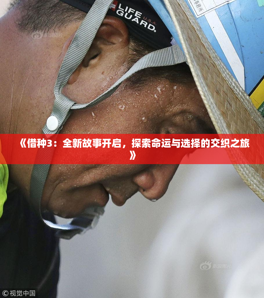 《借种3：全新故事开启，探索命运与选择的交织之旅》