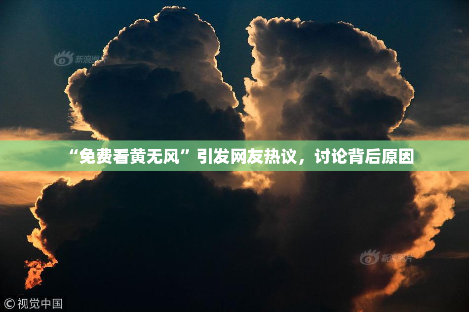 “免费看黄无风”引发网友热议，讨论背后原因