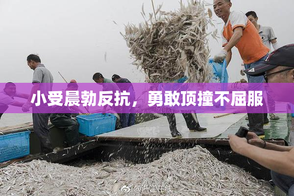 小受晨勃反抗，勇敢顶撞不屈服