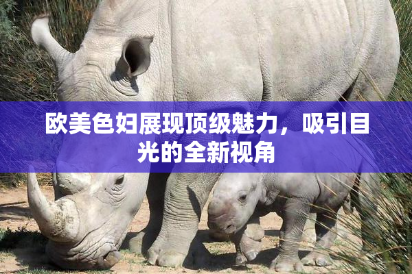 欧美色妇展现顶级魅力，吸引目光的全新视角