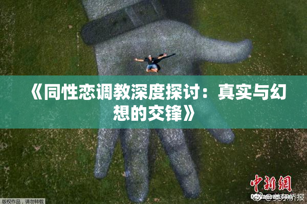 《同性恋调教深度探讨：真实与幻想的交锋》