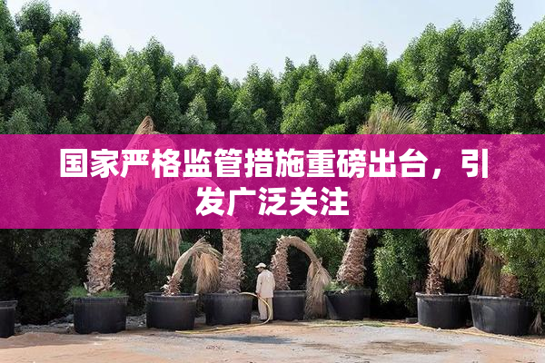 国家严格监管措施重磅出台，引发广泛关注