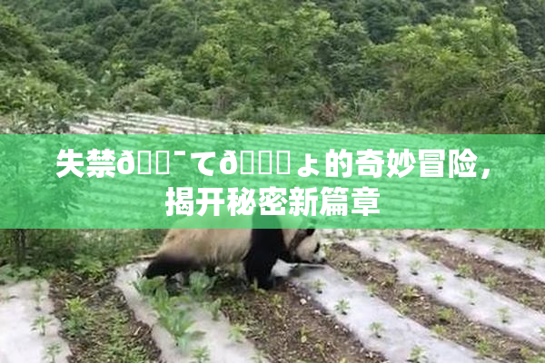 失禁🔯て🎆ょ的奇妙冒险，揭开秘密新篇章