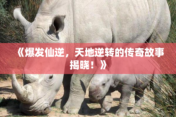 《爆发仙逆，天地逆转的传奇故事揭晓！》