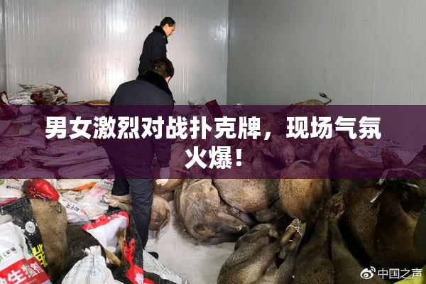 男女激烈对战扑克牌，现场气氛火爆！