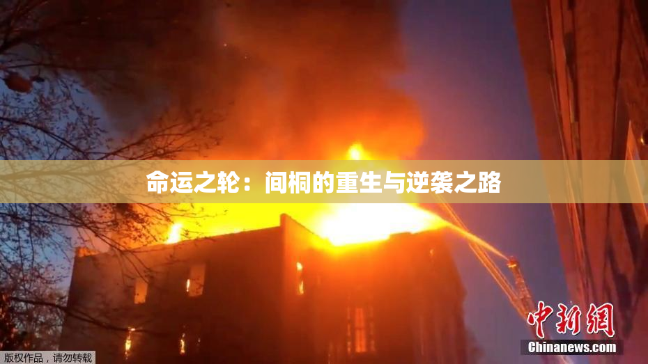 命运之轮：间桐的重生与逆袭之路