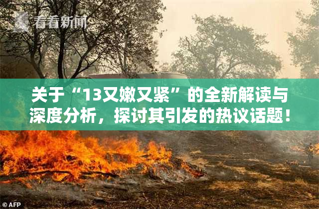 关于“13又嫩又紧”的全新解读与深度分析，探讨其引发的热议话题！