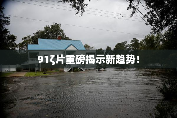 91ζ片重磅揭示新趋势！