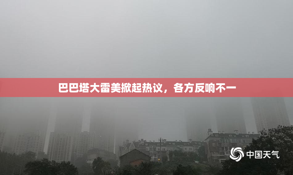 巴巴塔大雷美掀起热议，各方反响不一