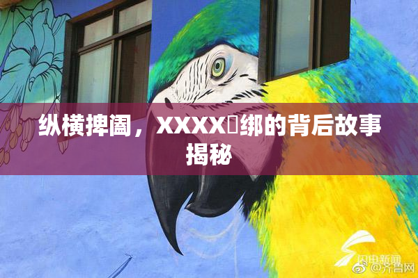 纵横捭阖，XXXX秵绑的背后故事揭秘