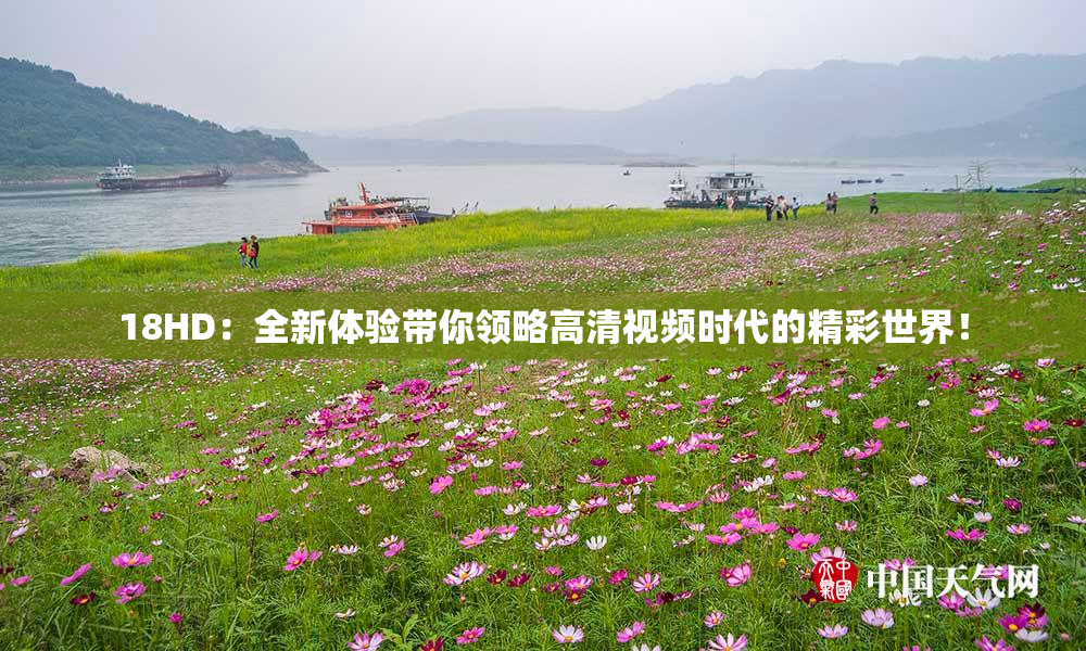 18HD：全新体验带你领略高清视频时代的精彩世界！