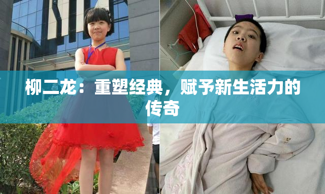 柳二龙：重塑经典，赋予新生活力的传奇