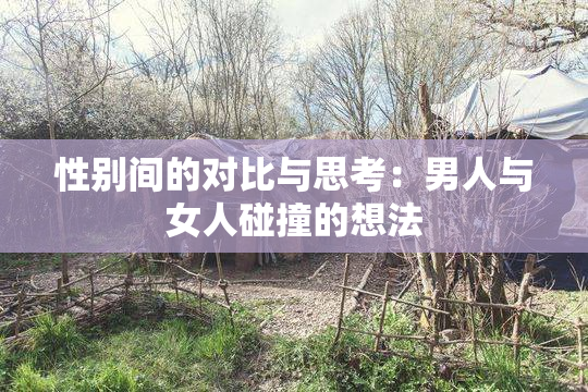 性别间的对比与思考：男人与女人碰撞的想法