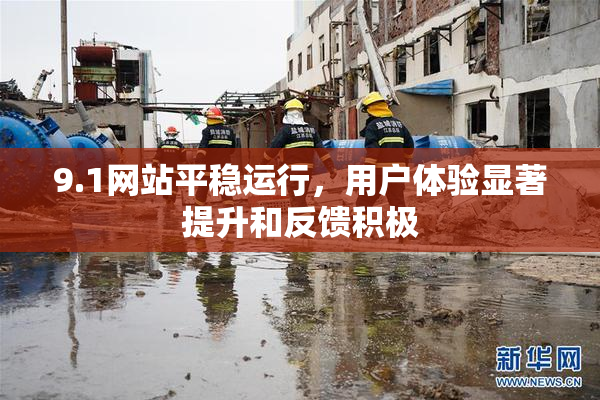 9.1网站平稳运行，用户体验显著提升和反馈积极