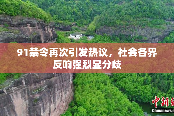 91禁令再次引发热议，社会各界反响强烈显分歧