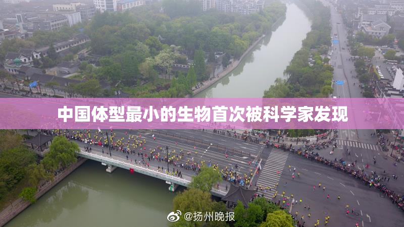 中国体型最小的生物首次被科学家发现