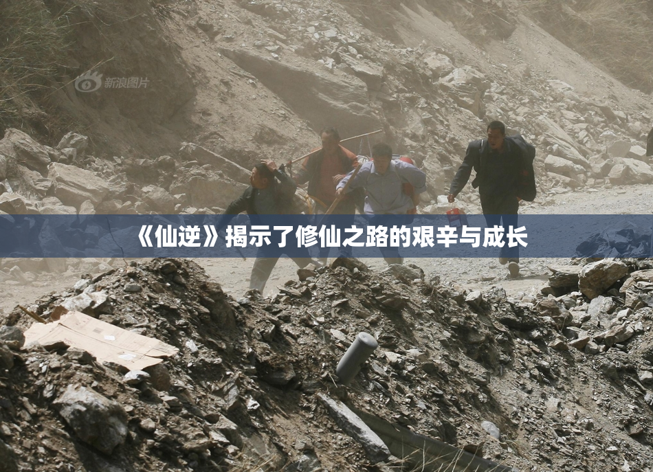 《仙逆》揭示了修仙之路的艰辛与成长