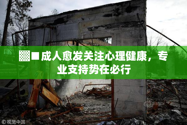 ▓■成人愈发关注心理健康，专业支持势在必行
