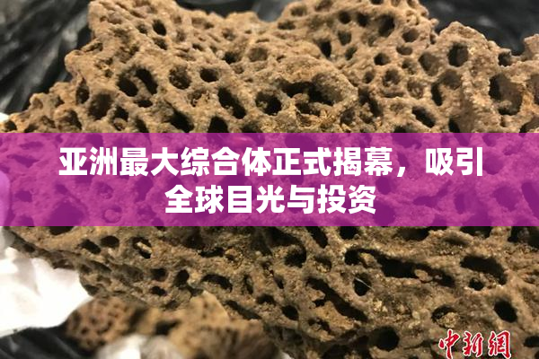 亚洲最大综合体正式揭幕，吸引全球目光与投资