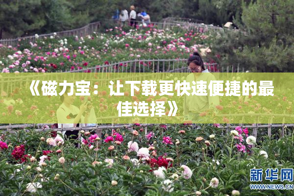 《磁力宝：让下载更快速便捷的最佳选择》