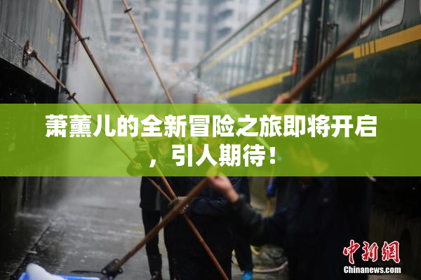 萧薰儿的全新冒险之旅即将开启，引人期待！
