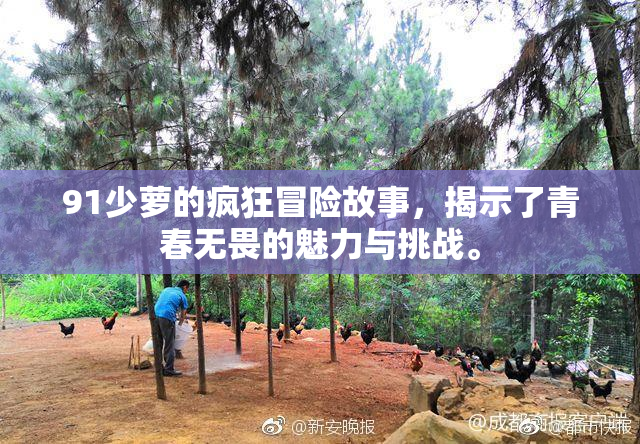 91少萝的疯狂冒险故事，揭示了青春无畏的魅力与挑战。