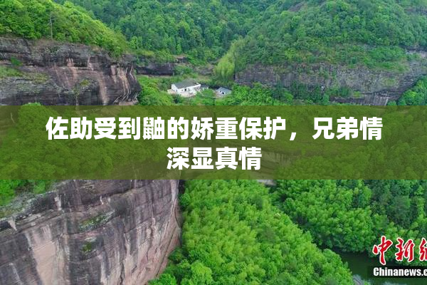 佐助受到鼬的娇重保护，兄弟情深显真情