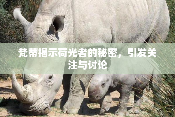 梵蒂揭示荷光者的秘密，引发关注与讨论