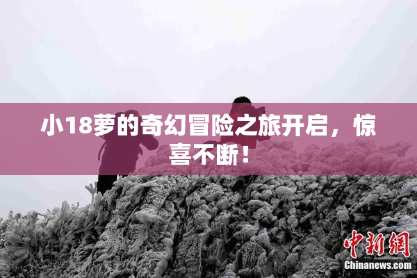 小18萝的奇幻冒险之旅开启，惊喜不断！